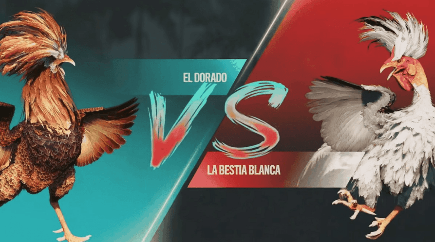 vcjogo Jogos de Cassino e E-Sports Confiáveis